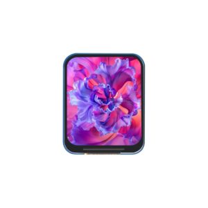 Waveshare 1.69inch LCD Display Module, 240×280 Resolution, SPI Interface, IPS, 262K Colors